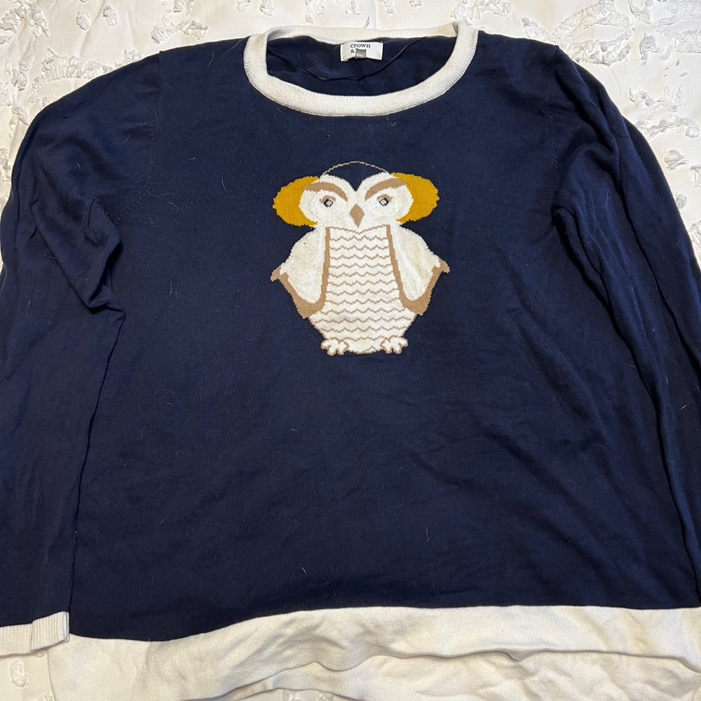 Winter Owl Sweater